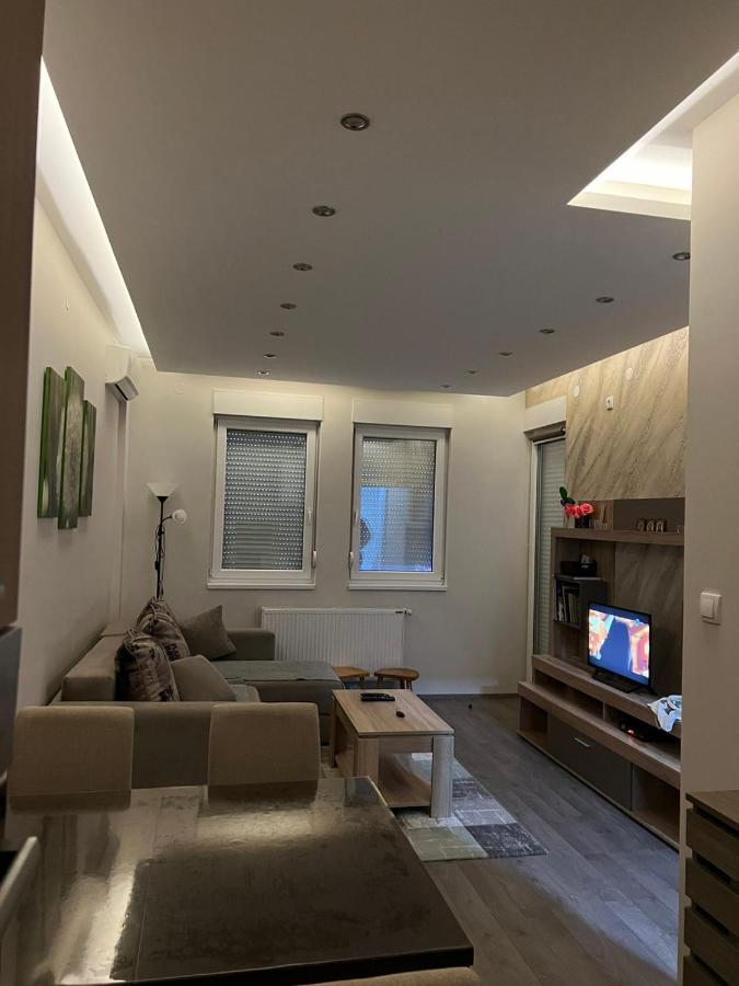 Apartment Dana Banja Koviljača 外观 照片