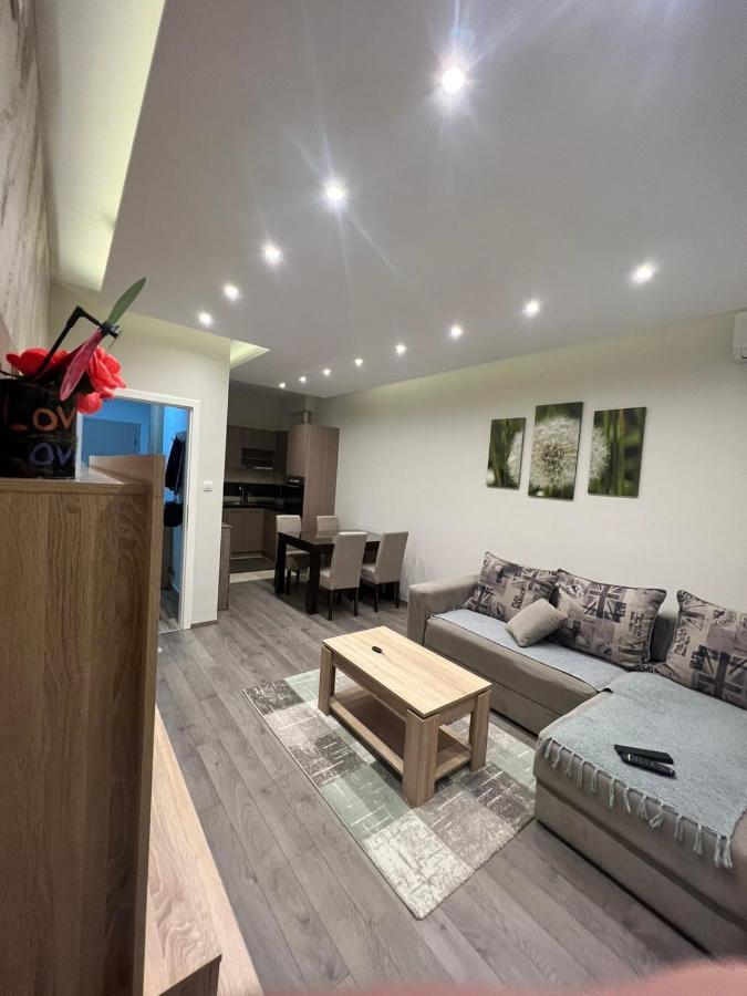 Apartment Dana Banja Koviljača 外观 照片