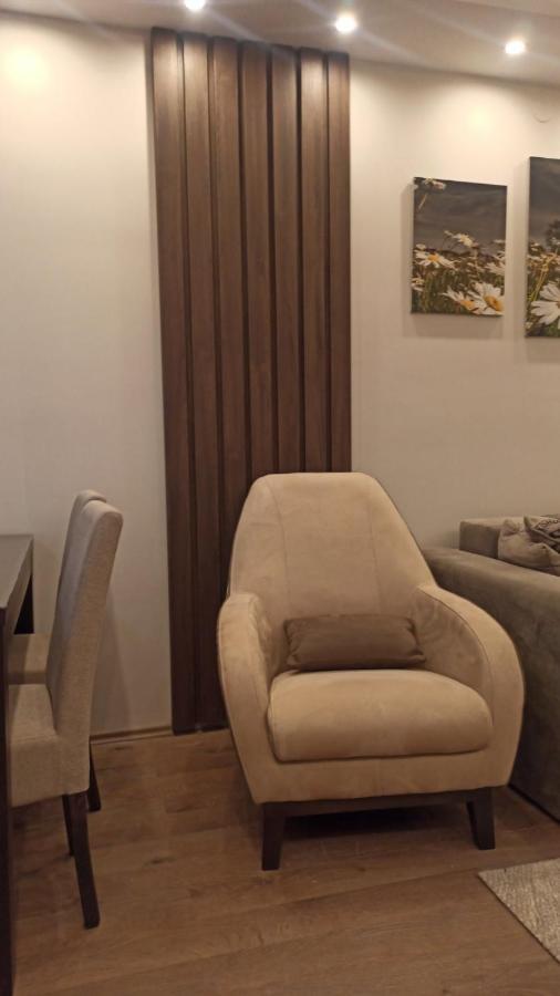 Apartment Dana Banja Koviljača 外观 照片