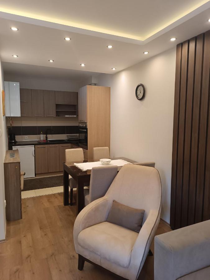 Apartment Dana Banja Koviljača 外观 照片